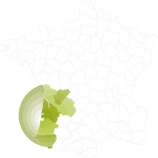 Brande Charente, Brande Dordogne, Brande Gironde, Brande Landes, Brande Pays Basque, Clôture écologique Charente, Clôture écologique Dordogne, Clôture écologique Gironde, Clôture écologique Landes, Clôture écologique Pays Basque, Clôture en brande de bruyère Charente, Clôture en brande de bruyère Dordogne, Clôture en brande de bruyère Gironde, Clôture en brande de bruyère Landes, Clôture en brande de bruyère Pays Basque, Clôture en bruyère Charente, Clôture en bruyère Dordogne, Clôture en bruyère Gironde, Clôture en bruyère Landes, Clôture en bruyère Pays Basque, Clôture Végétale Charente, Clôture Végétale Dordogne, Clôture Végétale Gironde, Clôture Végétale Landes, Clôture Végétale Pays Basque, Fabrication clôture Charente, Fabrication clôture Dordogne, Fabrication clôture Gironde, Fabrication clôture Landes, Fabrication clôture Pays Basque, Pose de Clôture Charente, Pose de Clôture Dordogne, Pose de Clôture Gironde, Pose de Clôture Landes, Pose de Clôture Pays Basque