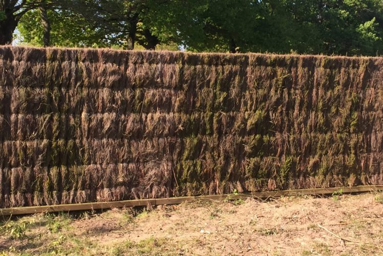 Les clôtures en brande de bruyère : Une solution naturelle et